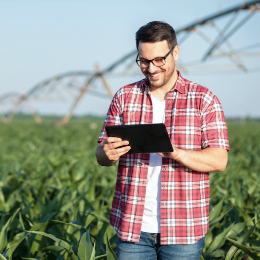 Rural Pinpoint Fiber Customers using Fiber Internet